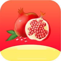 石榴视频最新版_logo
