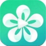 91草莓视频apk