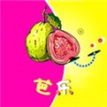小猫直播app下载地址