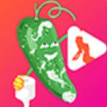 蘑菇tv永久版安装包下载入口