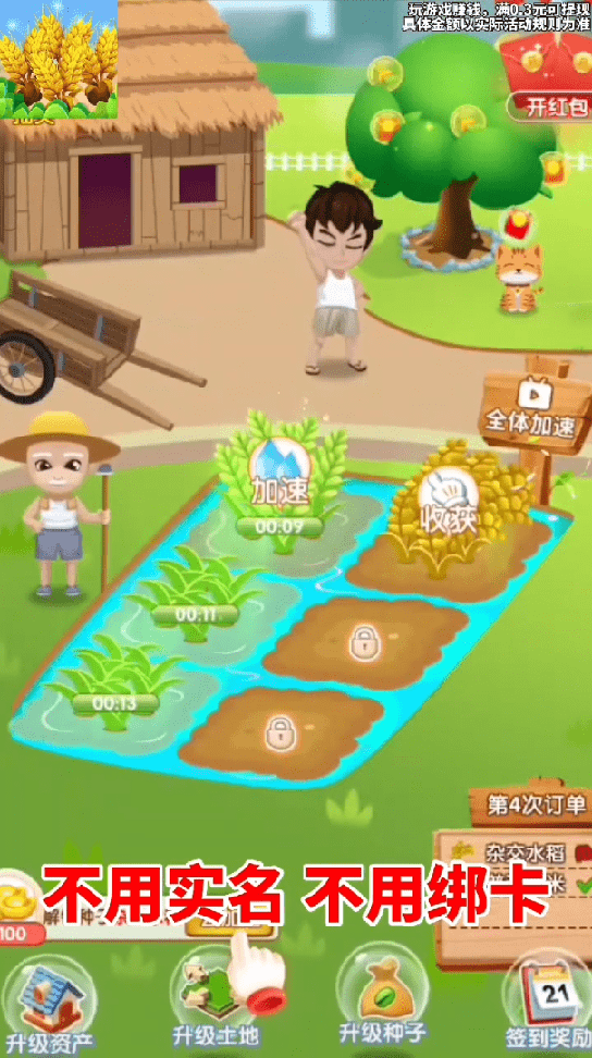天天看大米3