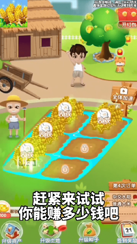 天天看大米2