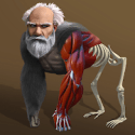 从细胞到人类（Idle Evolution From Cell To Human）apk游戏下载