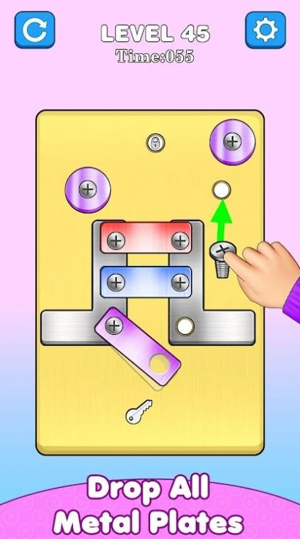 螺丝连螺母(Screw Pin Nut Puzzle Games)0